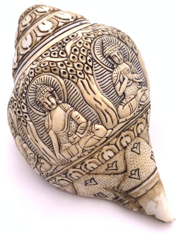 楽天市場】◇チベット密教法具 法螺貝（シャンカ）白傘蓋仏頂