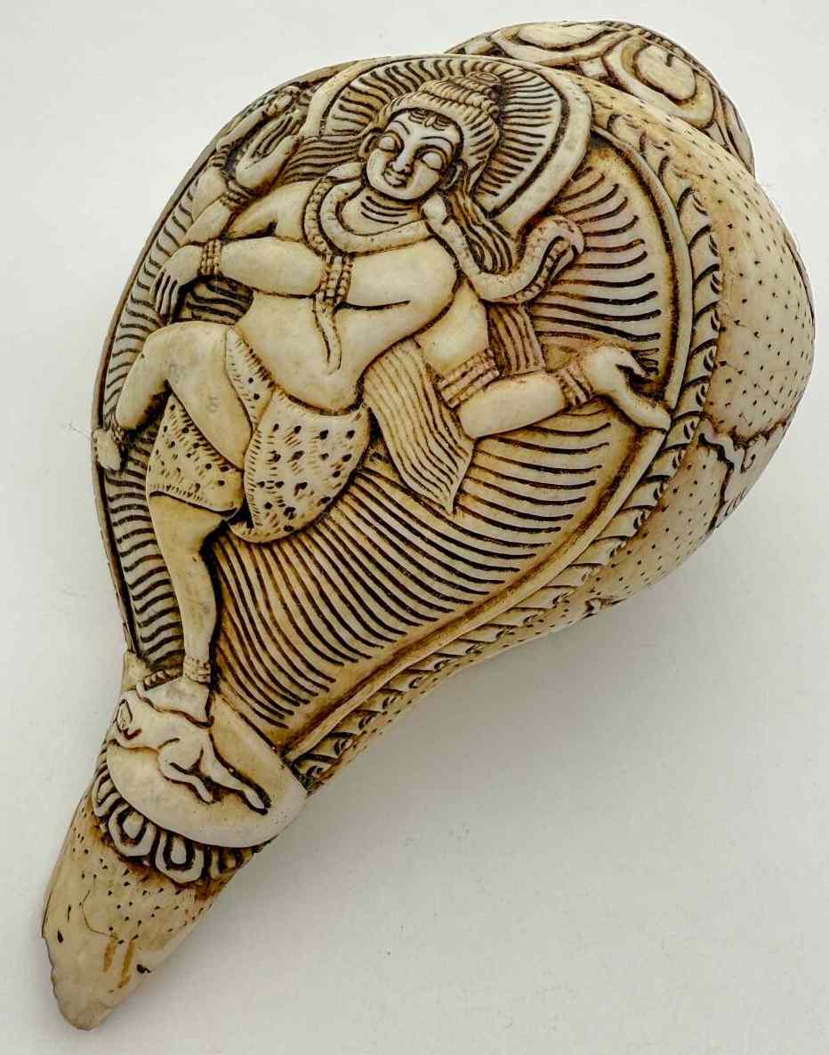 楽天市場】◇チベット密教法具 法螺貝（シャンカ）ーガネーシャ-A