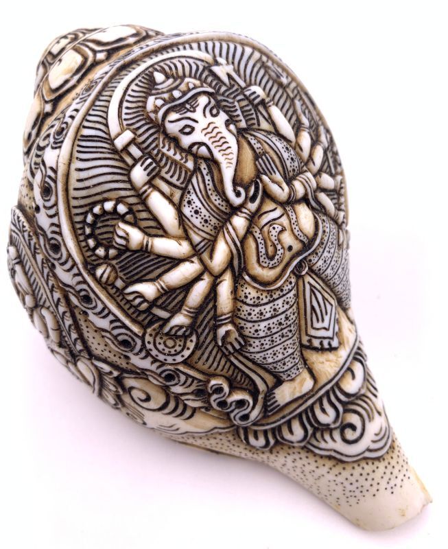 楽天市場】◇チベット密教法具 法螺貝（シャンカ）ーガネーシャ-A