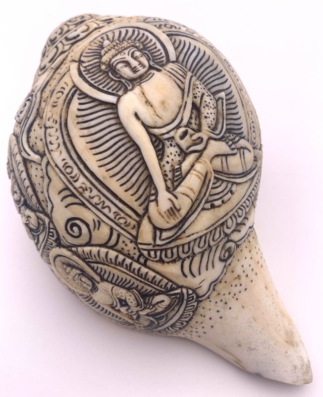 楽天市場】◇チベット密教法具 法螺貝（シャンカ）カーリー : PEMA NIMA