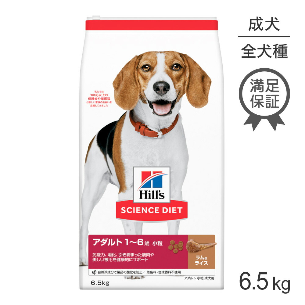 ヒルズ サイエンス・ダイエット アダルト 小粒 1~6歳 成犬用 ラム＆ライス 6.5kg (犬・ドッグ)