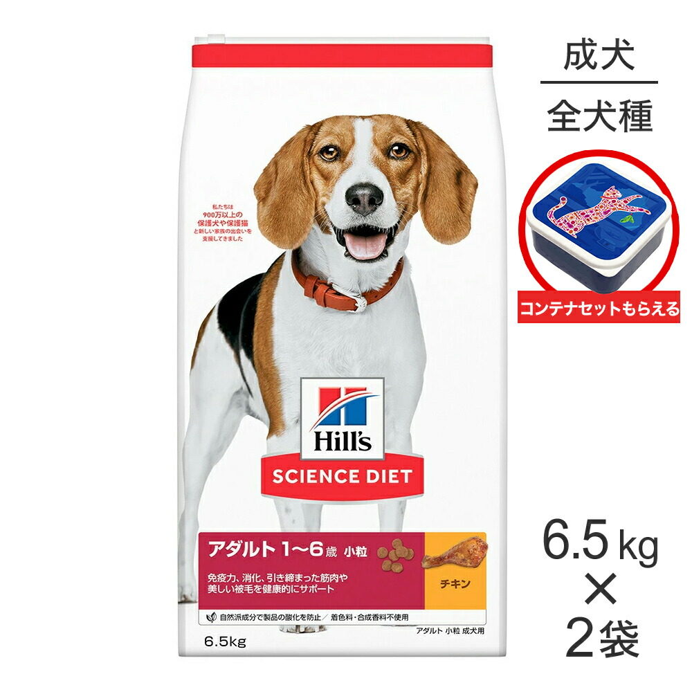 キミおもい ズボン下手合い御襁褓 積極的お召しもの 犬用品-ペット・ペットグッズ