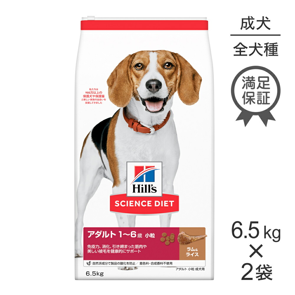 キミおもい ズボン下手合い御襁褓 積極的お召しもの ペット・ペットグッズ-ドッグフード・サプリメント