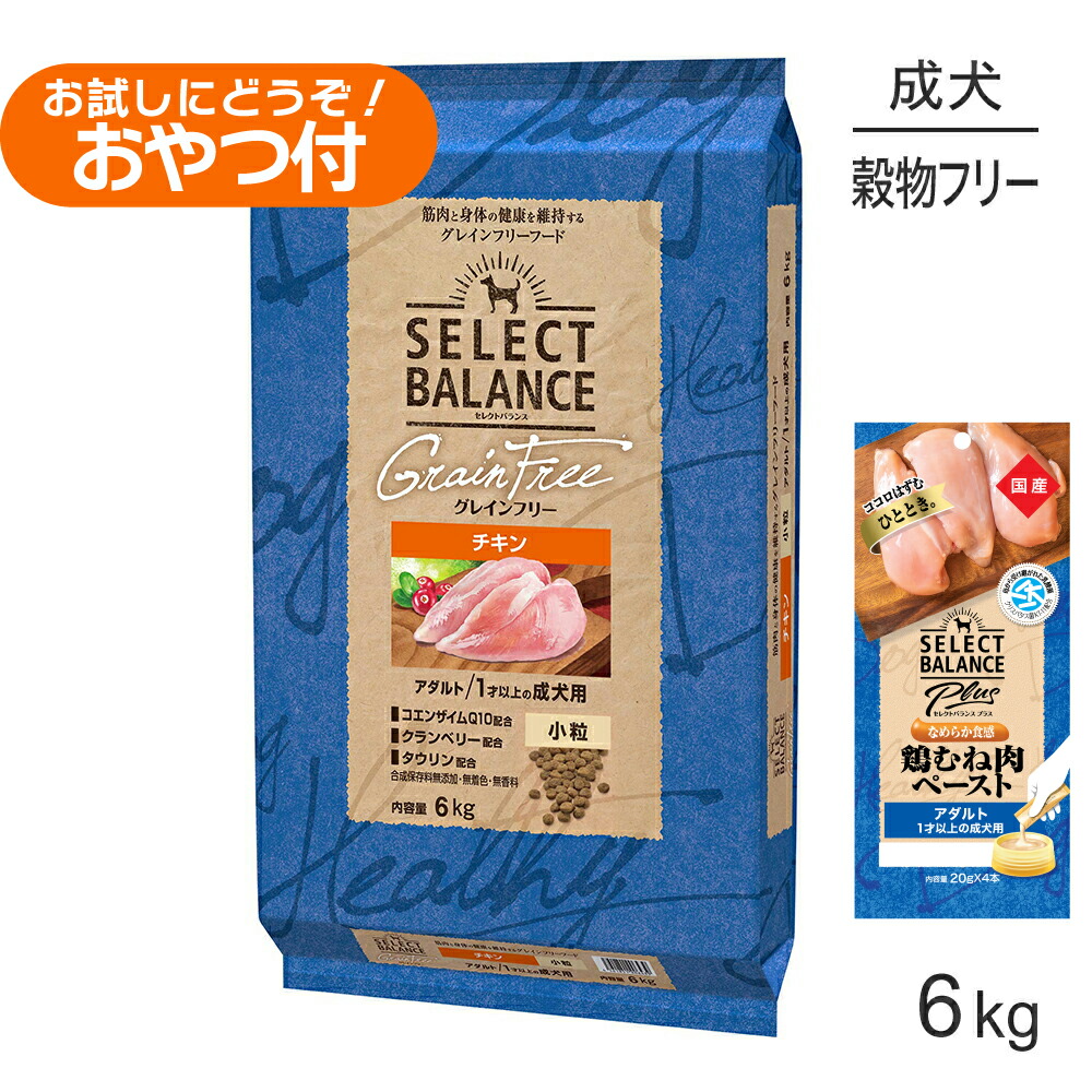 キミおもい ズボン下手合い御襁褓 積極的お召しもの ドッグフード-ドッグフード・サプリメント