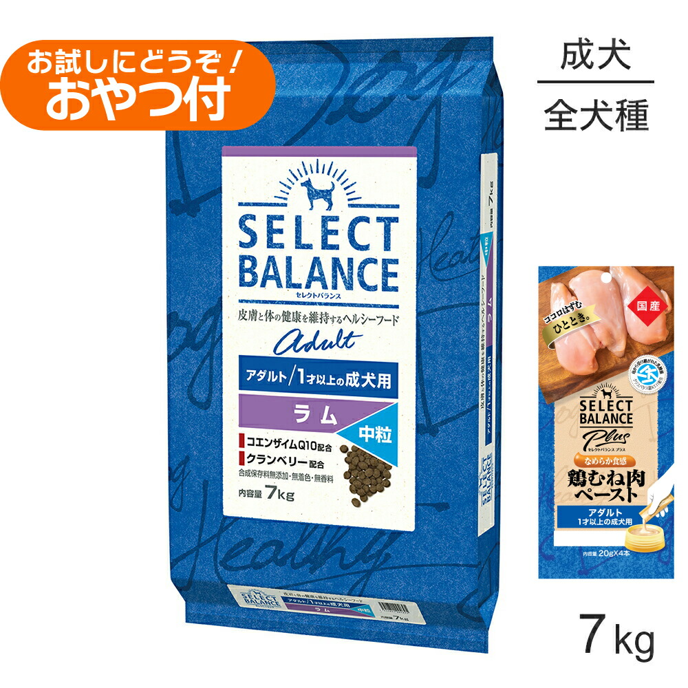 セレクトバランス アダルト ラム 中粒 1才以上の成犬用 7kg+成犬用 鶏むね肉ペースト (20g×4本)×2袋(犬・ドッグ)