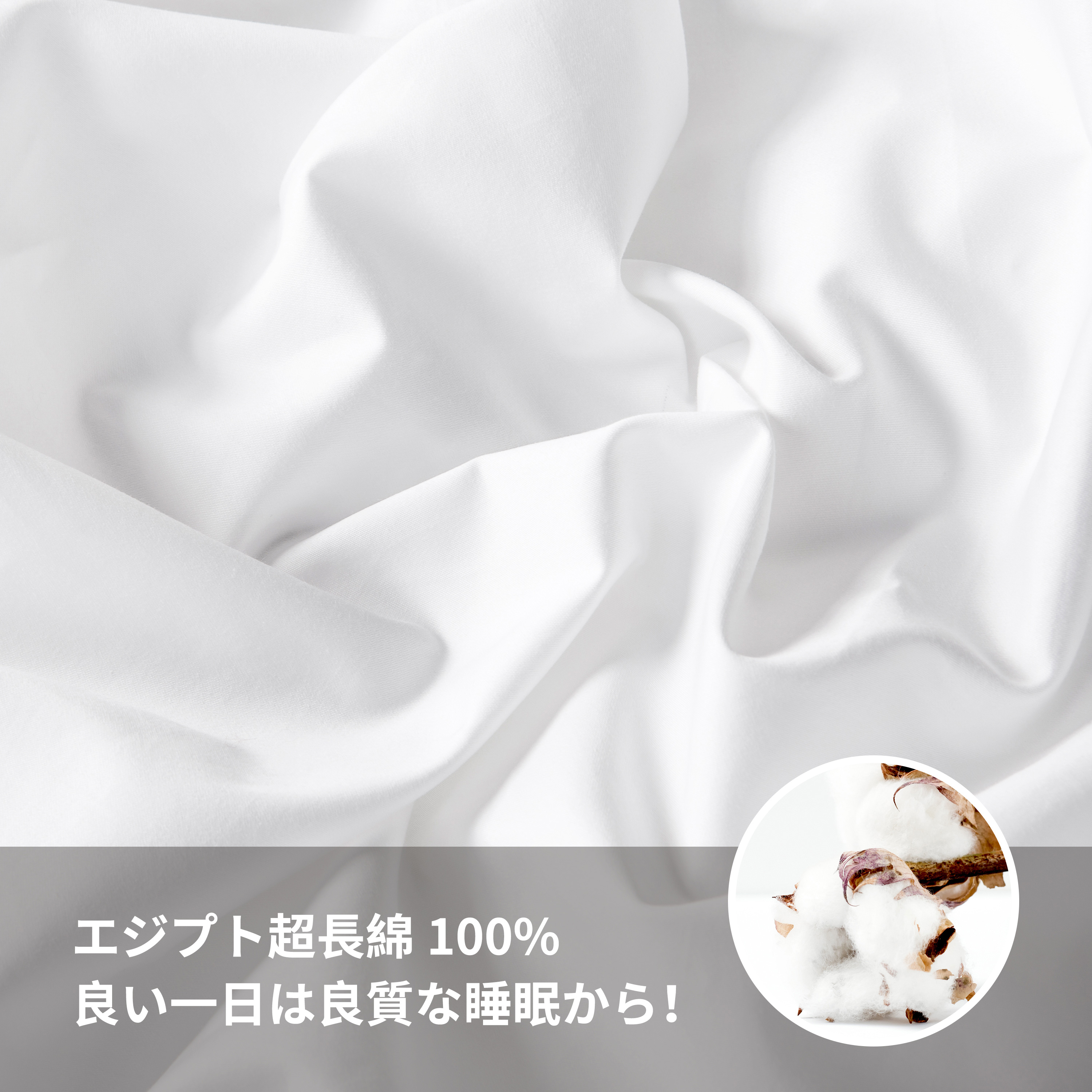☆新春福袋2021☆ 枕カバー 2枚 綿100% 封筒式 50×70cm ブラック zppsu