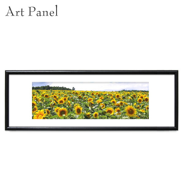 横長 絵画 写真 モダン ひまわり ポスター 風景 額付 横長 絵画 ひまわり モダン 写真