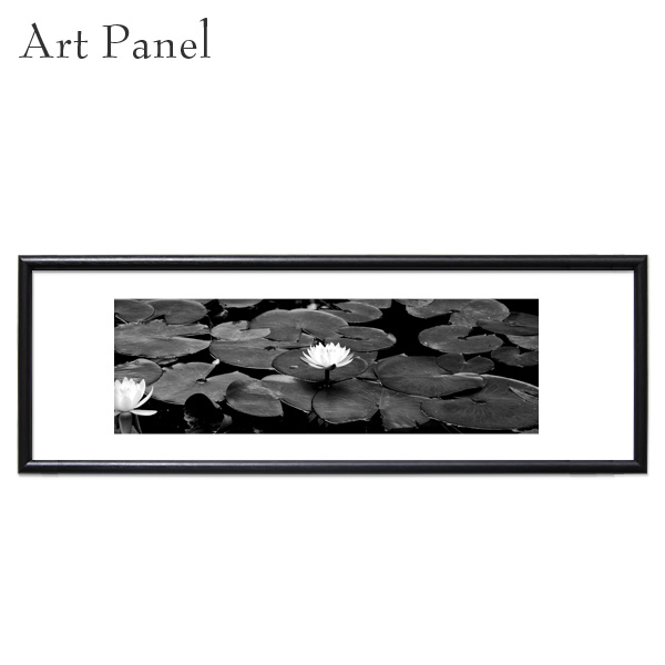 絵画 ポスター 横長 水連 写真 花 インテリア 壁掛け フラワー 飾る 壁面 アートパネル モノクロ ウォールデコ おしゃれ モダン 玄関