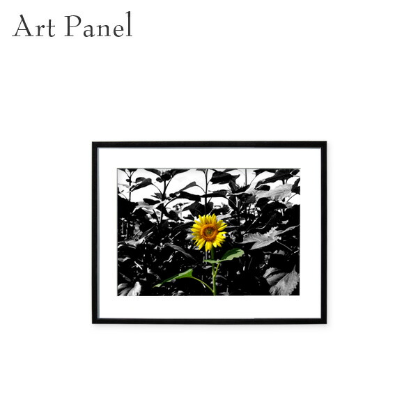写真 ひまわり 壁 おしゃれな絵 壁飾り 内装 在宅 背景 フラワーアート モダン 掛絵 壁絵 絵画 フレーム付き
