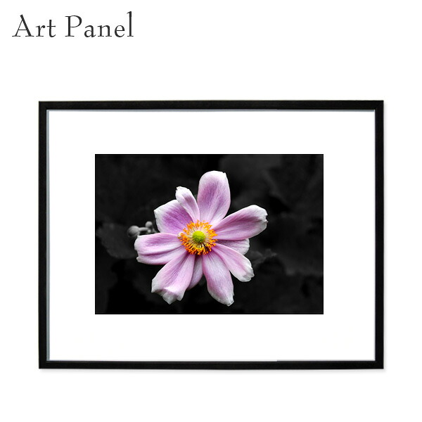 貼り出し 花 秋明菊 目論む芸術 活動写真 絵 芸術ダイアログボックス 今めかしい 今めかしい 入り口・入口 飾る オブジェ 花芸術 壁かざり付ける 枠組み付き添い人 室内装飾 飾りもの
