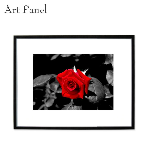楽天市場】絵画 Photography Rose インテリア 壁飾り バラ ローズ 花