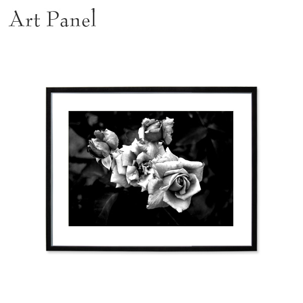 白黒花のアートフレーム 花写真 バラの花束 インテリア モノクロアートポスター額装 AS3265