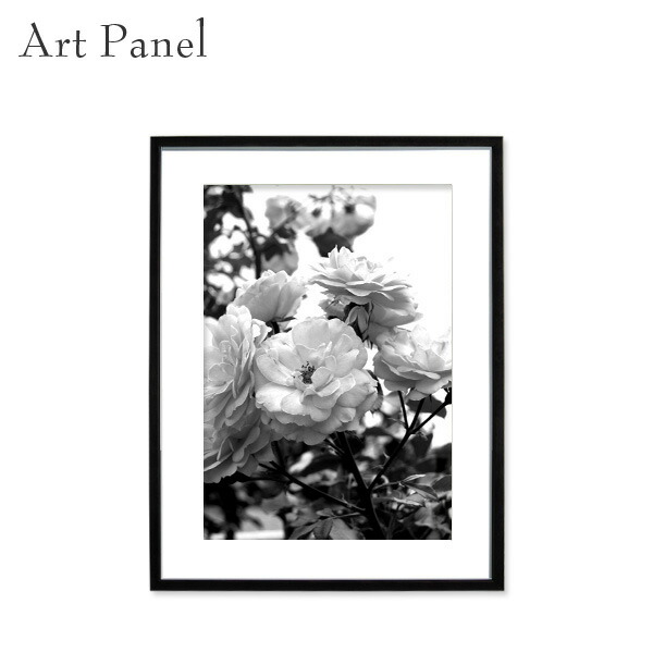 【限定商品】No.002 白と黒の花 スケッチ額装 | モダンでおしゃれなアート 楽天市場】モノクロ アートパネル 花 バラ インテリア 風景 壁