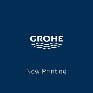 【GROHE】グローエ レインシャワー・トップエクステンション 【07247000】【個別貨物輸送：1200円※1送りとどける先につき左記貨物輸送をもらい受ける致します】