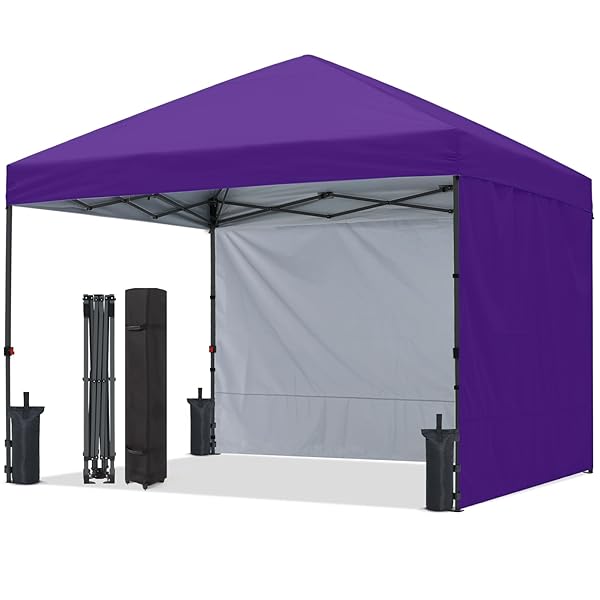 楽天市場】ApeexCanopyタープテント2.5mx2.5m【専用横幕/サイドシート3