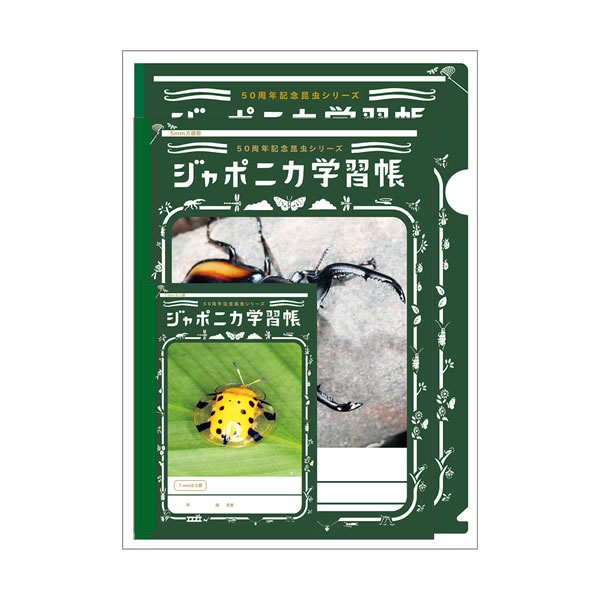 楽天市場】ジャポニカ学習帳 漢字練習帳 120字 B5 4901772071037 [M便