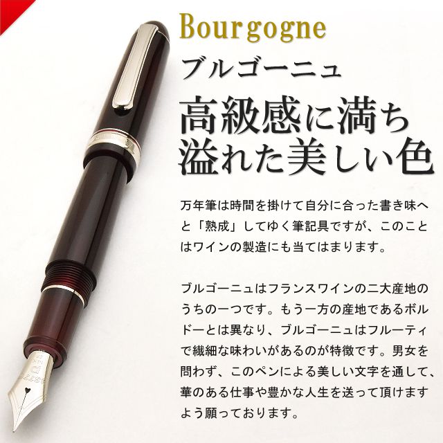 プラチナ万年筆 万年筆 ＃3776 ブルゴーニュ 高級万年筆 PNB-18000CR
