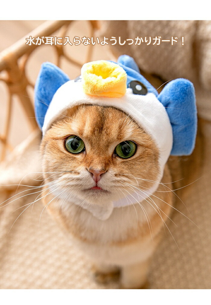 メール便送料無料 猫 被り物 コスプレ たてがみ ねこ 仮装 帽子 変身 かわいい ペット グッズ ネコ コスチューム かぶりもの