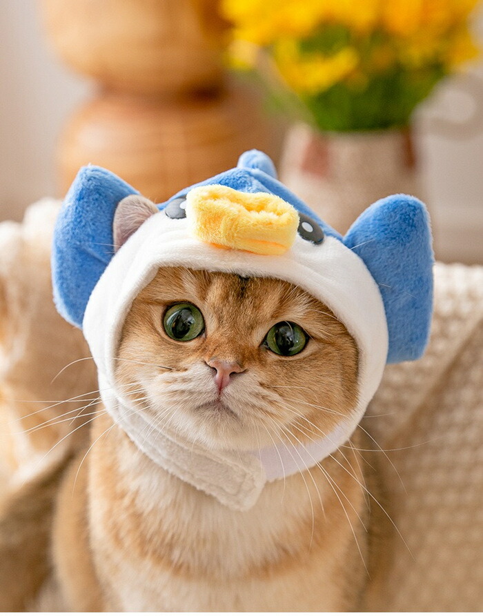 メール便送料無料 猫 被り物 コスプレ たてがみ ねこ 仮装 帽子 変身 かわいい ペット グッズ ネコ コスチューム かぶりもの