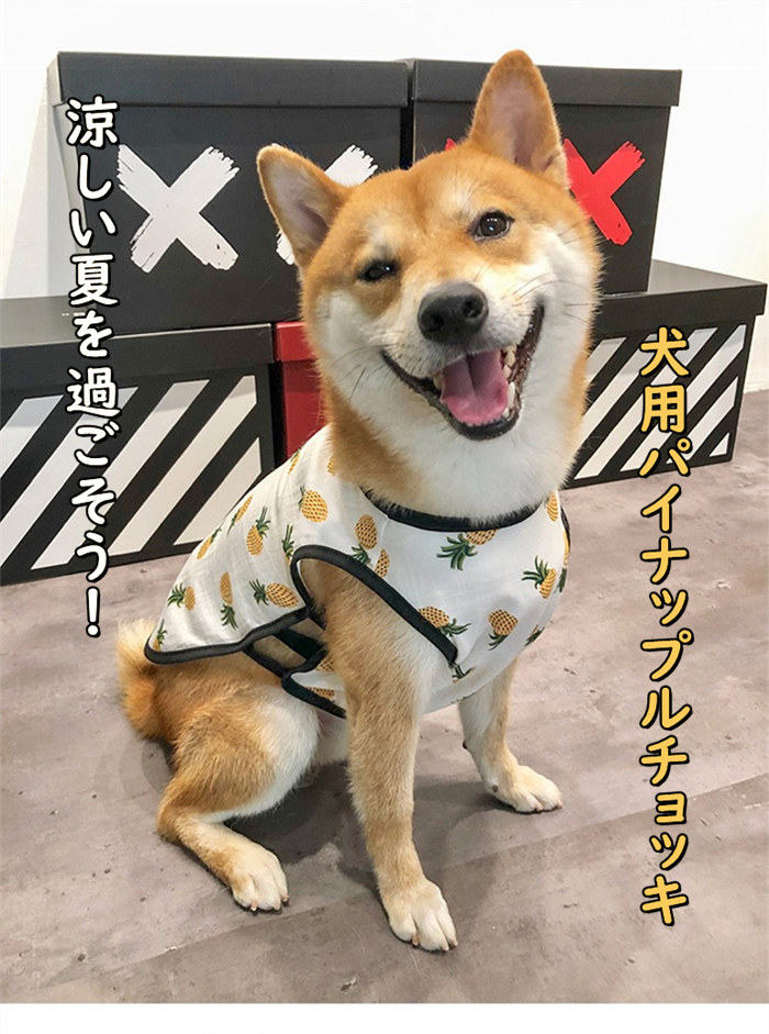 送料無料 犬服 夏服 パイナップル 夏 春 かわいい 犬用 春用 夏用 おしゃれ フルーツ ドッグウェア 送料無料 犬服 夏服 パイナップル 夏 春 かわいい 犬用 春用 夏用 おしゃれ フルーツ ドッグウェア