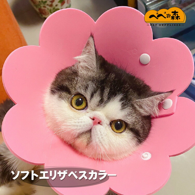 送料無料 猫用 犬用 超軽量 ソフトエリザベスカラー Eva素材 可愛いお花 ネコ用 S M Lサイズ ストレス軽減 軽量術後傷口保護傷舐め防止 ペット用ソフトエリザベスカラーひまわり飾り ネコポス ソフト 送料無料 猫用 犬用 超軽量 ソフトエリザベスカラー Eva素材 可愛いお花 ネコ用 S M Lサイズ ストレス軽減 軽量術後傷口保護傷舐め防止 ペット用ソフトエリザベスカラーひまわり飾り ネコポス ソフト