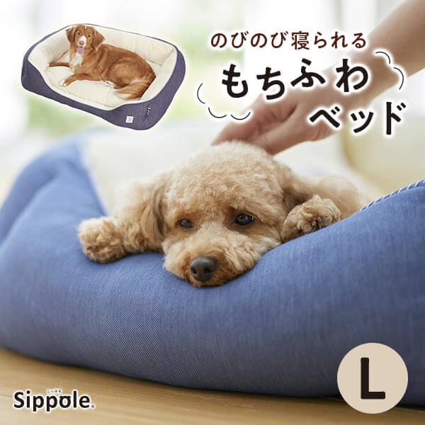 【楽天市場】犬 ベッド 猫 ベッド Sippole 2ＷＡＹスクエアベッド Ｓ 