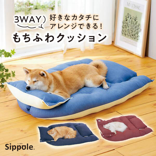 楽天市場】王様のらくすや 中型犬用 幅45×奥行60×高さ33cm 犬 介護