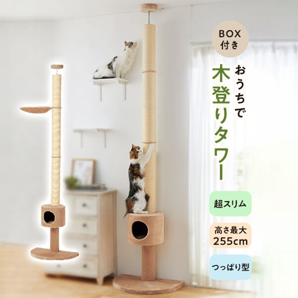 ペピイキャットタワー廃盤品
