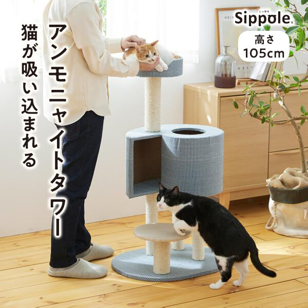 楽天市場】キャットタワー ローステップタワー 据え置き 爪研ぎ