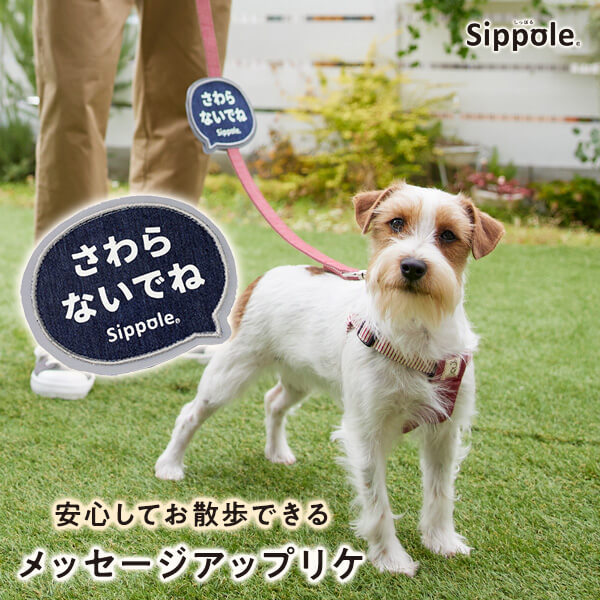 楽天市場】お散歩バッグ Ｓｉｐｐｏｌｅ 3ＷＡＹ消臭お散歩バッグ 犬