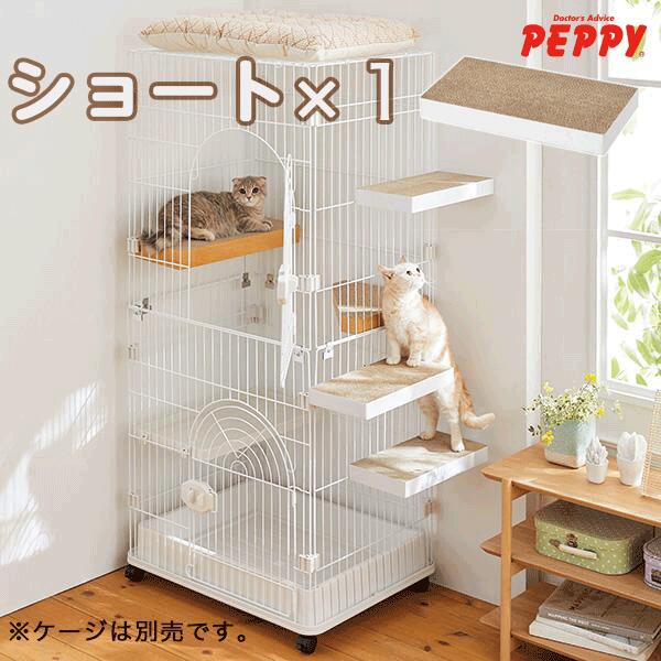 楽天市場】ケージ用ステップ ショート・3個 ※ケージは別売りです。猫 ケージ ステップ 子猫 シニア 老猫 スコティッシュフォールド 階段 取付簡単  ダンボール製 爪とぎ PEPPY ペピイ : PEPPY（ペピイ） 楽天市場店