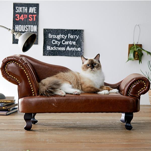 Sofa Cat Furniture Premium Peppy ペピイ For Exclusive Use Of The Bed Couch Pet