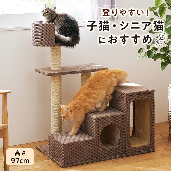 楽天市場】猫 ケージ ウッディーキャットルーム : PEPPY（ペピイ