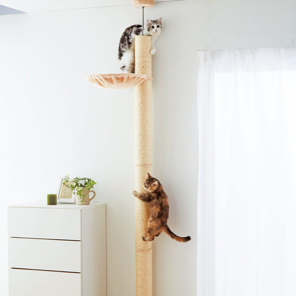 【楽天市場】おうちで木登りタワー キャットタワー 突っ張り 爪研ぎ 木登り 猫 イタズラ防止 引っかき ペピイオリジナル：PEPPY（ペピイ