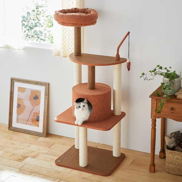 さかな釣りツリー 猫 ねこ タワー キャットタワー かわいい 据え置き オレンジ 爪とぎ おもちゃ 運動 ペット ペピイ Peppy Cilldaralegaeilge Ie さかな釣りツリー 猫 ねこ タワー キャットタワー かわいい 据え置き オレンジ 爪とぎ おもちゃ 運動 ペット ペピイ Peppy Cilldaralegaeilge Ie