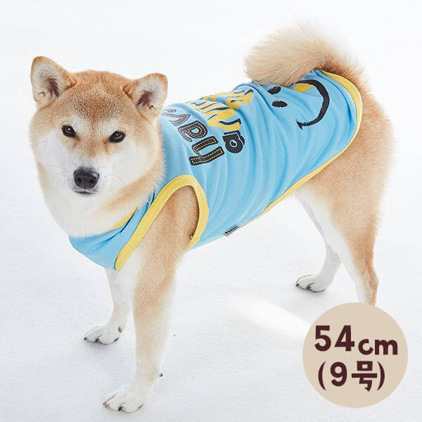 エルフォートクールタンク 9号 犬服 ドッグウェア 調温 春 夏 中型犬 大型犬 いぬ ペット ペピイ 大きい子もオシャレに可愛くなれる 日本製の調温ウェア 建設現場で仮設の足場を組む仕事だった 重 Diasaonline Com エルフォートクールタンク 9号 犬服 ドッグウェア 調温 春 夏 中型犬 大型犬 いぬ ペット ペピイ 大きい子もオシャレに可愛くなれる 日本製の調温ウェア 建設現場で仮設の足場を組む仕事だった 重 Diasaonline Com