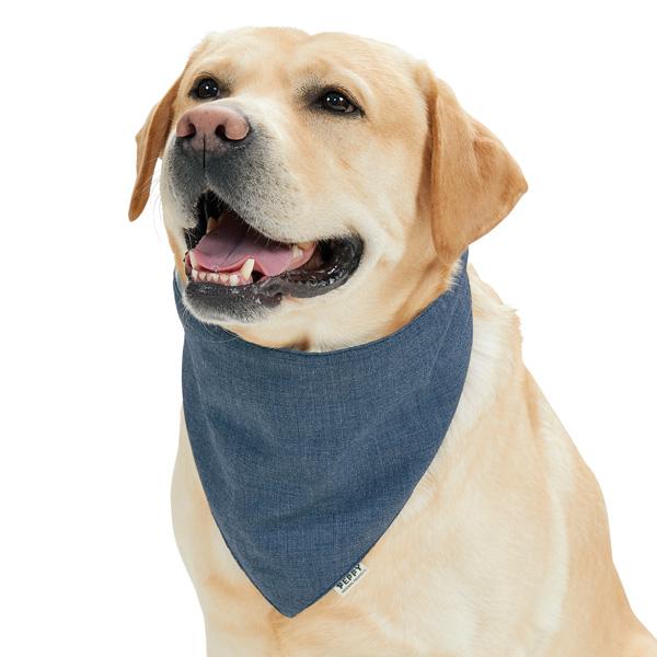 市場 虫よけクールバンダナ 夏 犬 ｌ クールネック いぬ 散歩