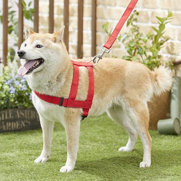 楽天市場 抜けにくい抗菌ショルダーハーネス ｓ 犬 ハーネス 抜けにくい 着せやすい 安全 引っ張り癖 散歩 抗菌 小型犬 中型犬 大型犬 ペット ペピイ Peppy Peppy ペピイ 楽天市場店