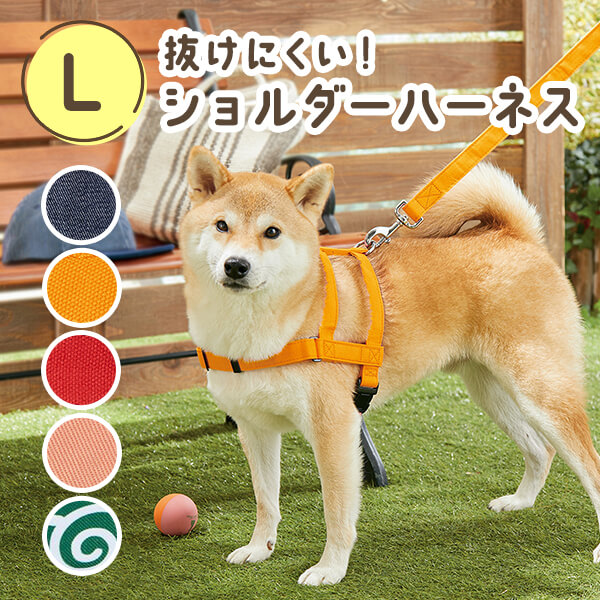 楽天市場】【12/1限定 ポイント５倍☆】うんぽパンツ Ｍ・3枚 犬 おむつ 介護 おもらし シニア犬 老犬 トイレ補助 トイレトレーニング お留守番  ペット ペピイ PEPPY : PEPPY（ペピイ） 楽天市場店