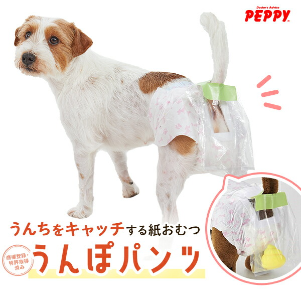 PEPPY アルテア 体圧分散マット 老犬 シニアベッド Lサイズ Amazon | アルテア体圧分散マット クリーム M 介護用品 犬