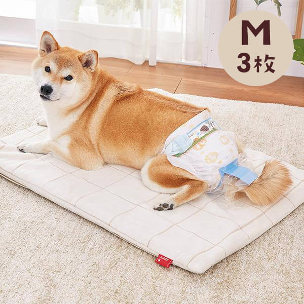 楽天市場 うんぽパンツ ｍ 3枚 犬 おむつ 介護 おもらし シニア犬 老犬 トイレ補助 トイレトレーニング お留守番 ペット ペピイ Peppy Peppy ペピイ 楽天市場店