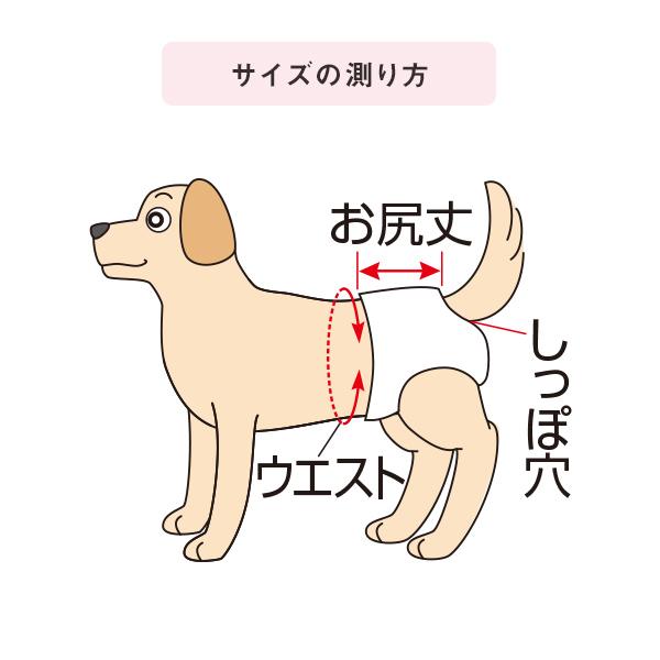 楽天市場 うんぽパンツ ｍ 14枚 犬 おむつ 介護 おもらし シニア犬 老犬 トイレ補助 トイレトレーニング お留守番 ペット ペピイ Peppy Peppy ペピイ 楽天市場店