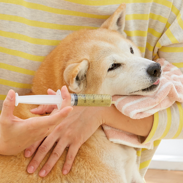 楽天市場 わんのはな やわらか介護食 1個 流動食 老犬 酵素 ヤギミルク ゴートミルク タモギタケ 鹿肉 国産 ペピイオリジナル Peppy ペピイ 楽天市場店