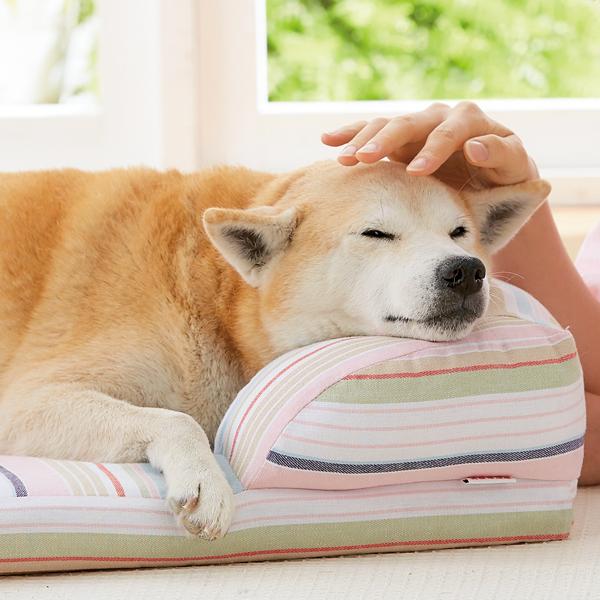 さわやかマリンスクエアソファー ベッドs ブランケット3sセット 犬 猫 ベッド ベッド カドラー 春夏 クール お得 通気性 クール コットン 涼感 セット お得 ペット ペピイ Peppy Peppy ペピイ 店ひんやりコットン100 で涼しく眠れる やさしい寝心地で人気no 1の犬 さわやかマリンスクエアソファー ベッドs ブランケット3sセット 犬 猫 ベッド ベッド カドラー 春夏 クール お得 通気性 クール コットン 涼感 セット お得 ペット ペピイ Peppy Peppy ペピイ 店ひんやりコットン100 で涼しく眠れる やさしい寝心地で人気no 1の犬