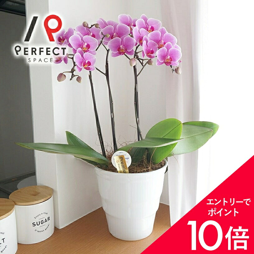 6/4(木)20:00～！百貨店SALE?最大限度50％OFF＆尖んがり
