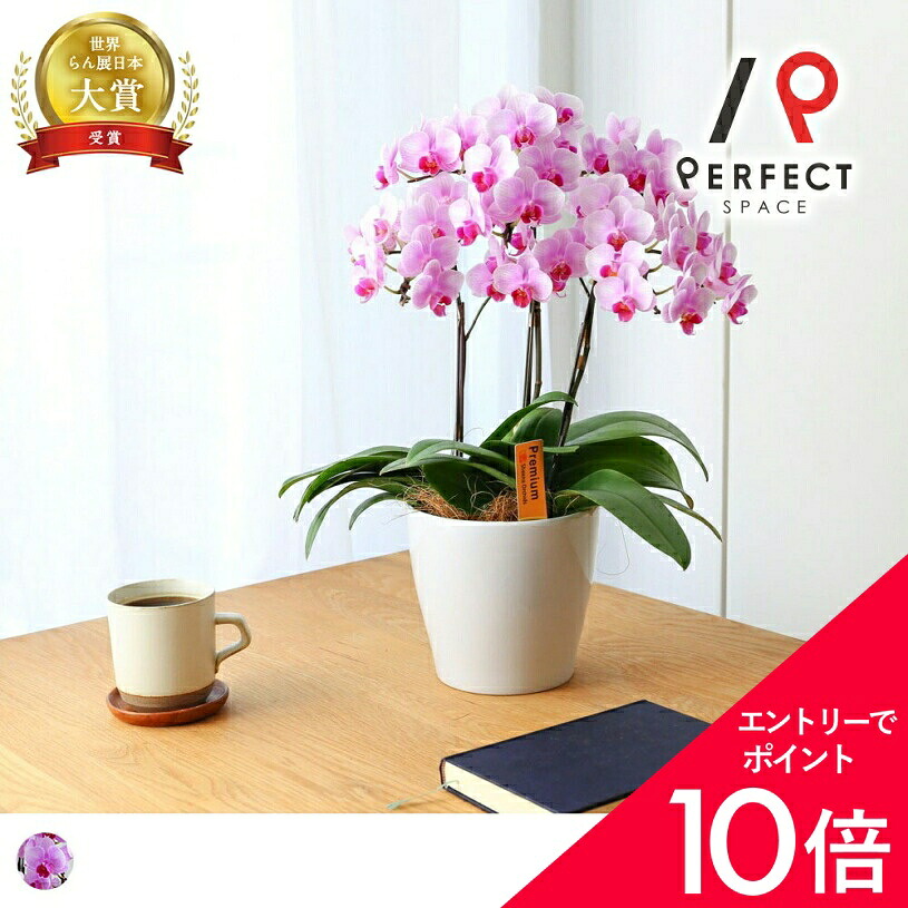 6/4(木)20:00～！百貨店SALE?最大限度50％OFF＆尖んがり