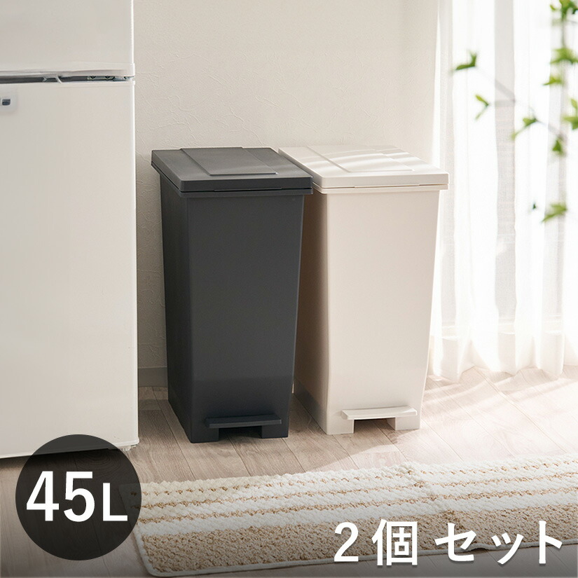 ゴミ箱 45L 2個セット エバン 密閉ペダルペール ふた付き パッキン付き EBAN ダストボックス ごみ箱 45リットル ニオイ漏れ 防止 密閉 スリム シンプル 分別 ペダル式 袋止め付き 踏みふた ペダル 臭わない dst-kup0019st2