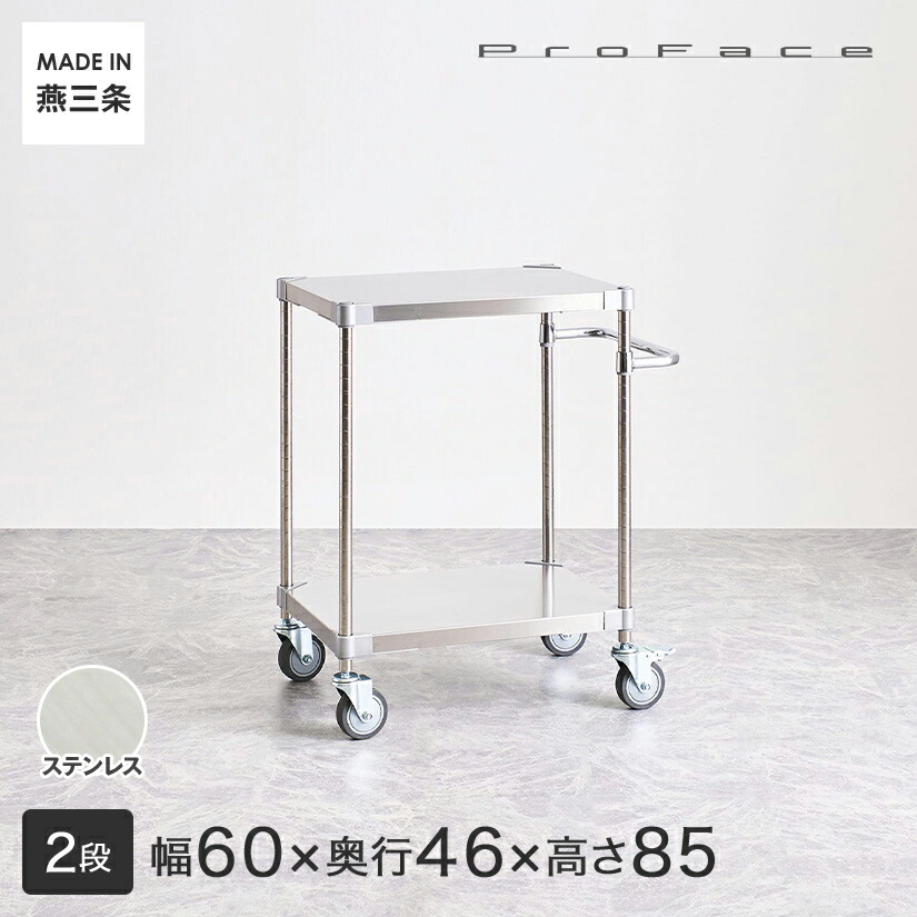 PROFACE プロフェイス SUS304ステンレス ステンレスラック 衛生 病院 研究所 施設 ハンドル付きワゴン 隙間収納 省スペース キャスター付き 移動 幅60 奥行46 高さ85 2段 (幅61.5&times;奥行46.3&times;高さ87.3cm) TSSW2-46607｜パーフェクトスペース 30,388円