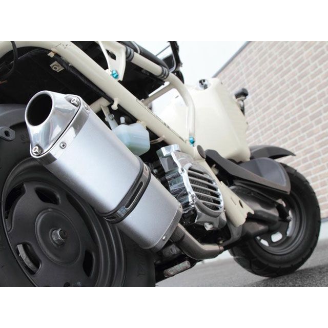 無料雑誌付き Rin Parts ズーマー マフラー本体 限定 Splendid Triangle Sport Big Sound仕様 カラー シルバー リンパーツ Painfreepainrelief Com