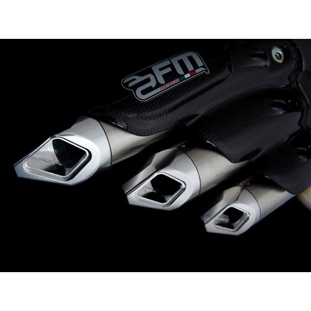 FMプロジェクト スリップオンマフラー ステンレス/ドライカーボン Brutale 675/800 F3 675/800 FMMV001RSS